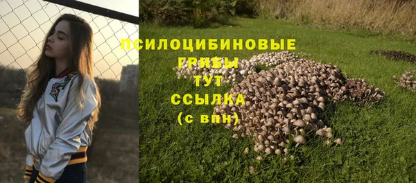 амфетамин Михайловск
