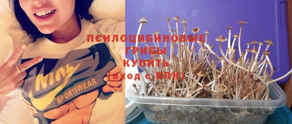 сатива Михайловка