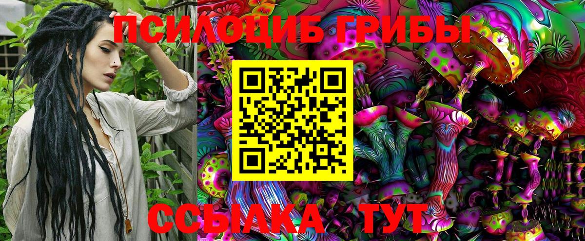 Новочебоксарск  Псилоцибиновые грибы MAGIC MUSHROOMS  Галлюциногенные грибы GOLDEN TEACHER  Вход с VPN 